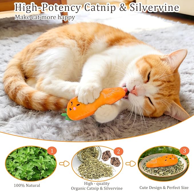 ETEKYER Catnip Cat Toys, 5 Pack, Plush Cat Nip Toys for Indoor Kitten Kitty, Interactive Cat Kicker Chew Safe Teeth Cleaning Toys, Fun Vegetable Shape
