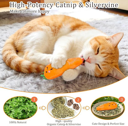 ETEKYER Catnip Cat Toys, 5 Pack, Plush Cat Nip Toys for Indoor Kitten Kitty, Interactive Cat Kicker Chew Safe Teeth Cleaning Toys, Fun Vegetable Shape