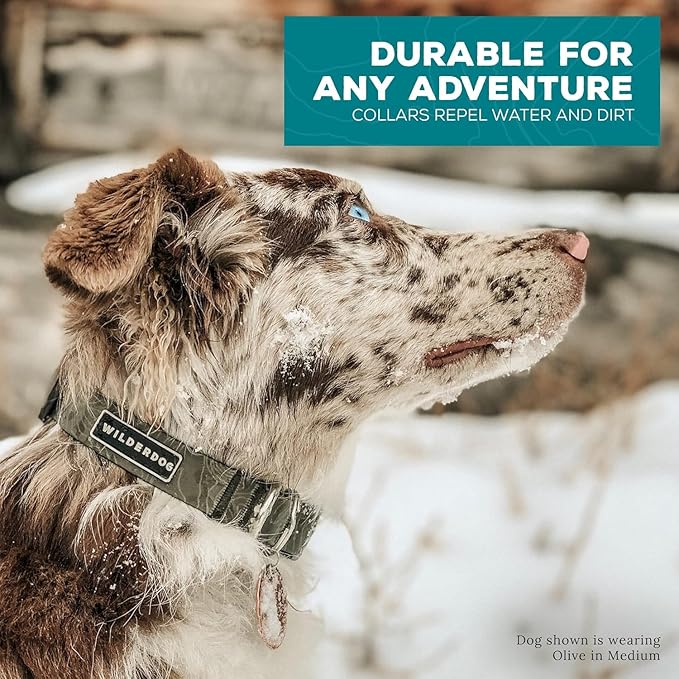 Wilderdog Waterproof Dog Collar – Repels Water & Dirt – Small 11"-15" – Olive