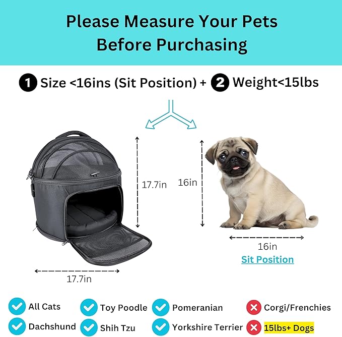 Crash-Tested Dog Car Carrier (Test with FMVSS 213b - 5 Star Safety Rated by CPS) | 3-in-1 Small Dog Car Seat, Pet Carrier for Vet Visit, Enclosed Cat Bed & Carseat | Best for Safe Travel (Up to 15lbs)