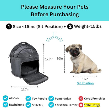 Crash-Tested Dog Car Carrier (Test with FMVSS 213b - 5 Star Safety Rated by CPS) | 3-in-1 Small Dog Car Seat, Pet Carrier for Vet Visit, Enclosed Cat Bed & Carseat | Best for Safe Travel (Up to 15lbs)