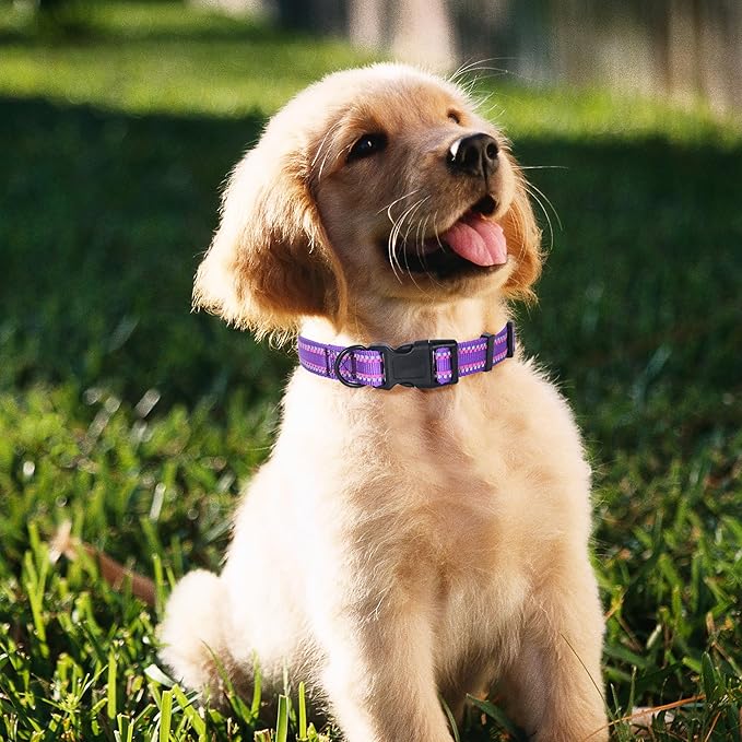 Mile High Life Reflective Dog Collar, Basic Dog Collars Adjustable Quick Release, Soft Nylon Pet Collar with Metal D-Ring for Small Medium Large Dogs (Purple, XS Neck9-13")