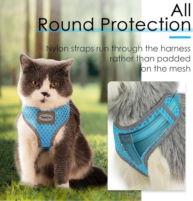 ThinkPet Reflective Breathable Soft Air Mesh No Pull Puppy Choke Free Over Head Vest Harness for Puppy Small Medium Dogs and Cats(Light Blue, XS)