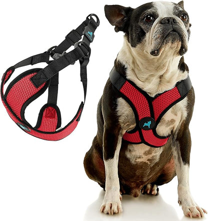 Gooby Comfort X Step in Lite Dog Harness - Choke Free, Escape Free with Light Breathable Mesh - Step in Dog Harness for Small Dogs Only - Quick Release Buckle, Metal D-Rings - Red, X-Large
