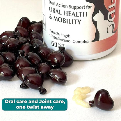 1TDC WorksSoWell Dual Action Hip and Joint Supplement for Dogs & Cats - for Large & Small Breed - Great for Oral Health, Stamina Recovery & Arthritis Pain Relief -60 ct