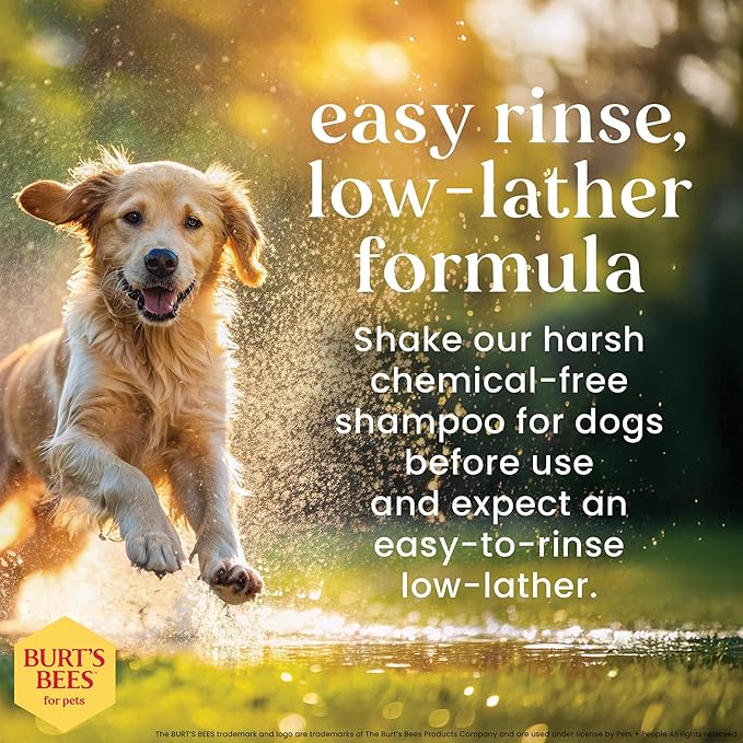 Burt's Bees for Pets Hypoallergenic Shampoo for Dogs with Shea Butter and Honey, 2pk, 95% Natural Origin Formulas, Shampoo for Sensitive Dogs - Gentle Dog Shampoo, 2pk, 16 oz