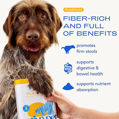 Native Pet Pumpkin for Dogs - Organic Powder Pumpkin Puree Dog Food Toppers -Rich in Fiber Supplement Powder Helps with Digestion, Nutrient Absorption, Diarrhea, Constipation & Upset Stomach-30 Scoops