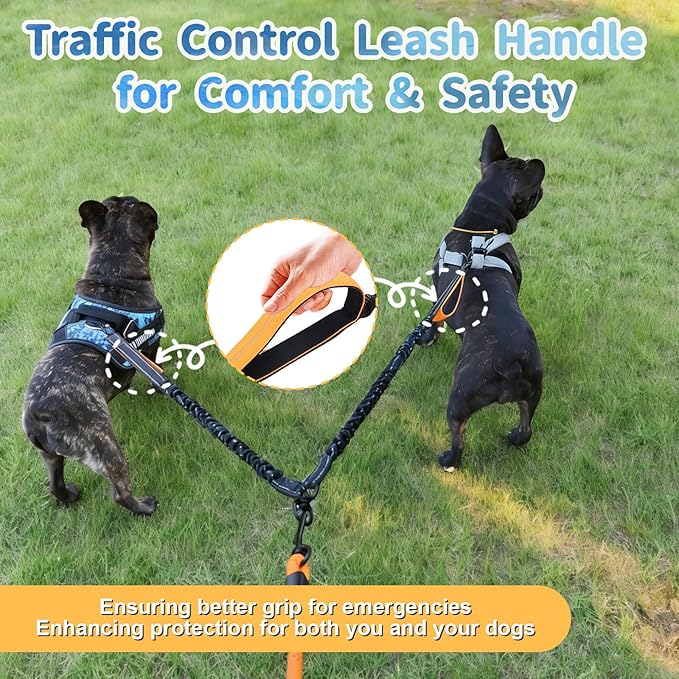 Double Dogs Leash - Removable Main Lead Rope with Splitter, No Tangle 2 Dog Coupler, Reflective No Pull Bungee, 3 Handle, D-Ring, Extra Long for Walk Train Medium Large Two Pet (Orange)