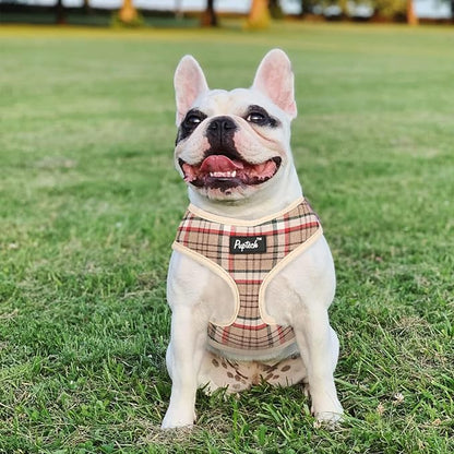 PUPTECK Soft Mesh Dog Harness and Leash Set Pet Puppy Cat Comfort Padded Vest No Pull Harnesses, Khaki, L