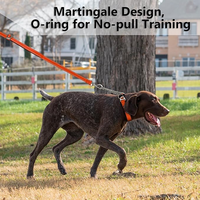 Plutus Pet Martingale Dog Collar with Stainless Steel Chain and Reflective Nylon, Adjustable No Pull Training Collar, for Small Medium, and Large Dogs, Orange, M