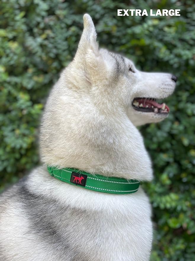 Tuff Pupper Heavy Duty Dog Collar with Handle | Ballistic Nylon Heavy Duty Collar | Padded Reflective Dog Collar with Adjustable Stainless Steel Hardware | Convenient Sizing for All Breeds