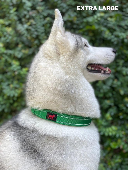 Tuff Pupper Heavy Duty Dog Collar with Handle | Ballistic Nylon Heavy Duty Collar | Padded Reflective Dog Collar with Adjustable Stainless Steel Hardware | Convenient Sizing for All Breeds