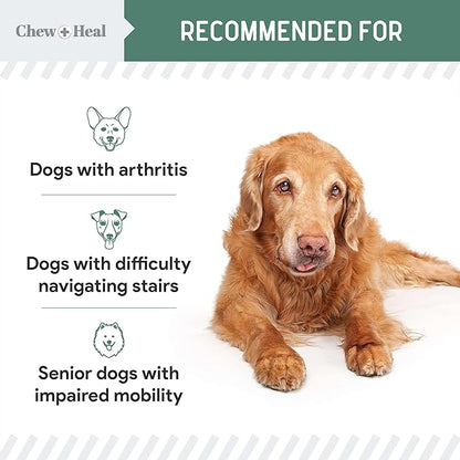 Chew + Heal Labs Glucosamine for Dogs Hip and Joint Supplement - 240 Senior Dogs Mobility Soft Chews - Made with Glucosamine, MSM, Chondroitin, Green Lipped Mussels and More - Made in The USA