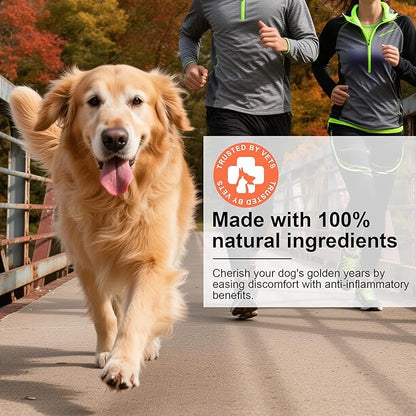 Hip and Joint Supplement Powder for Dogs Glucosamine for Dogs, Dog Arthritis Vitamins for Hip and Joint Pain Relief Contains Glucosamine Chondroitin MSM Vitamin E for All Breeds and Sizes