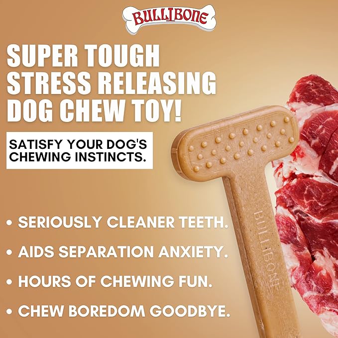 Bullibone Nylon Dog Chew Toy for Aggressive Chewers - Dental Hygiene Bone with Beef Flavor, Durable Tough Chew Toys for Extra Large Dogs, Indestructible Dog Bone - Single