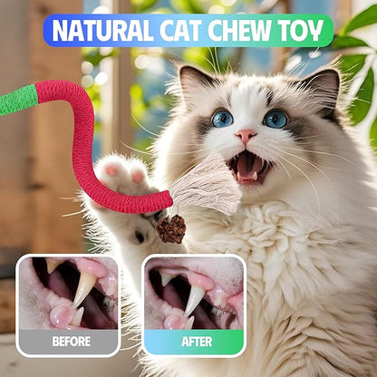 GBSYU Cat Toys Chew Rope & Silvervine Sticks for Bored Indoor Adult Cats, 6Pcs Interactive Catnip Toys for Cats with Refillable Natural Catnip Bag for Teeth Cleaning