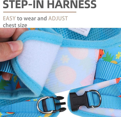 PUPTECK Adjustable Dog Harness Collar and Leash Set Step in No Pull Pet Harness for Small Medium Dogs Puppy and Cats Outdoor Walking Running, Soft Mesh Padded Reflective Vest Harnesses, Sky Blue M