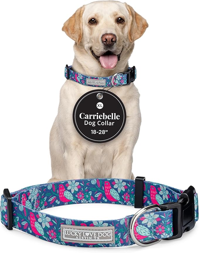 Lucky Love Dog - Adjustable Dog Collar with Easy Click Buckle for Large Dogs, Durable, & Comfortable for Male & Female Dogs, Pet Collar for Puppies & Adult Ones - Carriebelle, XL