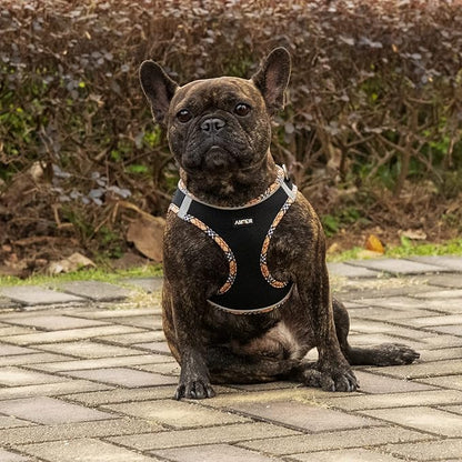 AMTOR Small Dog Harness with Leash Set, No Escape Easy Walk Puppy Harnesses for Training Walking, Step-in Reflective Soft Dogs Vest for XS S Medium Extra-Small Large Sized Dog(BlackYellow,S)