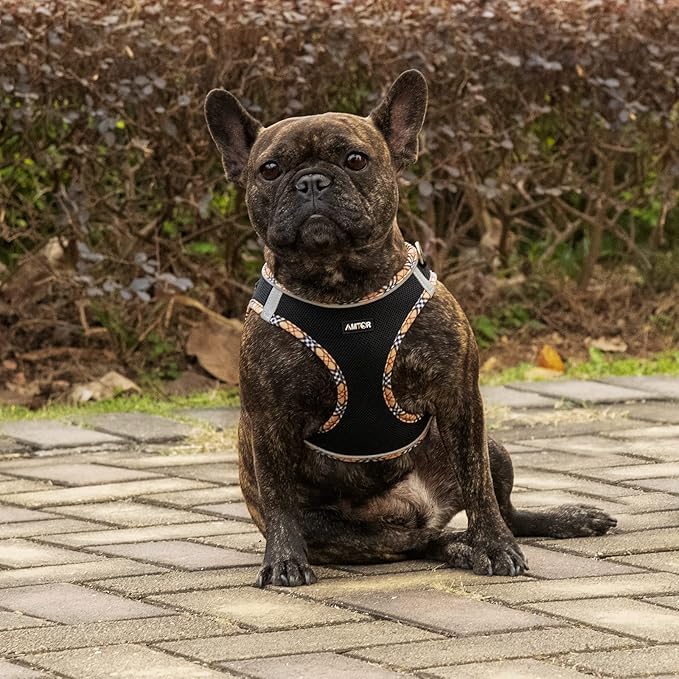 AMTOR Small Dog Harness with Leash Set, No Escape Easy Walk Puppy Harnesses for Training Walking, Step-in Reflective Soft Dogs Vest for XS S Medium Extra-Small Large Sized Dog(BlackYellow,XXXS)