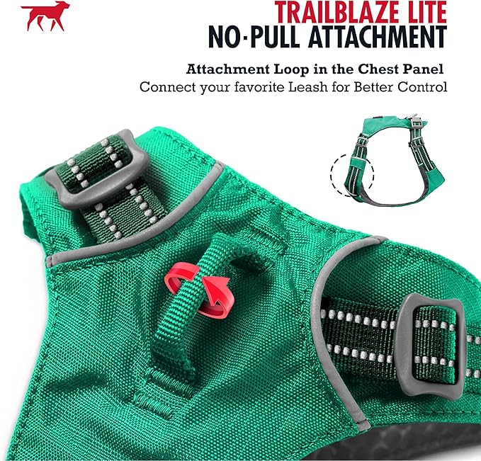 Tuff Pupper All-Day Wear Dog Harness | for Walking, Trail Running, Hiking | Front & Back Leash Clips | Reflective Trim | Easy On/Off Buckles | Lightweight Breathable | No Pull Design (Medium, Teal)