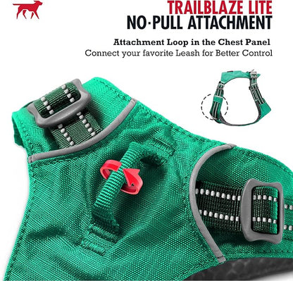 Tuff Pupper All-Day Wear Dog Harness | for Walking, Trail Running, Hiking | Front & Back Leash Clips | Reflective Trim | Easy On/Off Buckles | Lightweight Breathable | No Pull Design (L/XL, Teal)