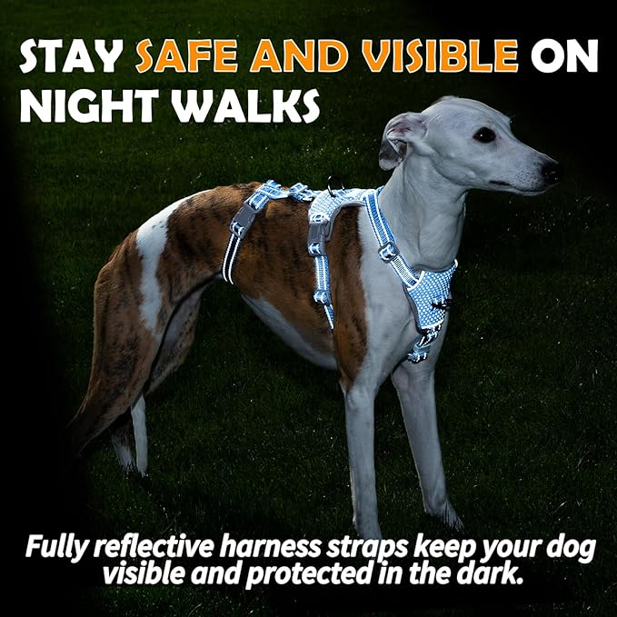Huntboo Escape Proof Dog Harness – No Pull, No Slip, Fully Reflective, Adjustable 7-Point Design for Small, Medium, and Large Dogs – Lightweight for Outdoor Training & Hiking (Sea Blue, S)