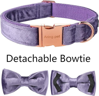 ARING PET Bowtie Dog Collar-Velvet Dog Collars with Removable Bowtie, Cute &Comfortable Purple Dog Collar,Large.