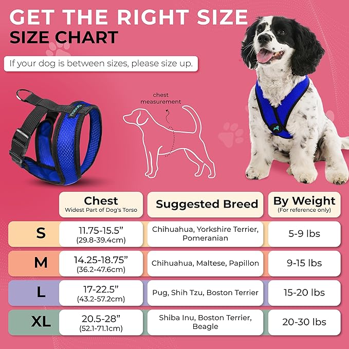Gooby Comfort X Head In Harness - Blue, X-Large - No Pull Small Dog Harness Patented Choke-Free X Frame - Perfect on the Go Dog Harness for Medium Dogs No Pull or Small Dogs for Indoor and Outdoor Use