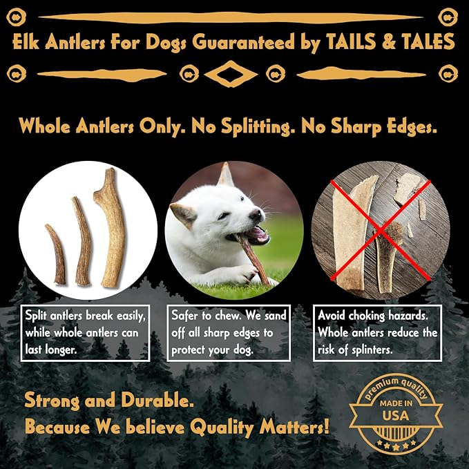 Tails & Tales Whole Elk Antler for Dogs Medium 5-7" Long-Lasting & Durable Dog Bones for Aggressive Chewers or Teething Puppies No Additives, Premium Grade A, Naturally Shed in USA
