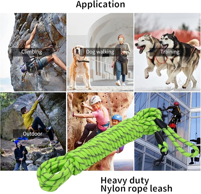 Long Dog Leash for Training 20Ft-Reflective Nylon Rope with Swivel Hook-Recall Agility Lead for Large Small Medium Dogs Outside Walking Hiking-Green