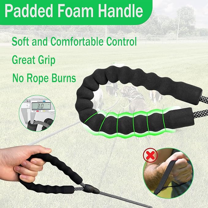 30FT Long Leash for Dogs,Heavy Duty Reflective Long Dog Leash with Swivel Hook and Comfortable Padded Handle for Large Medium Small Pets