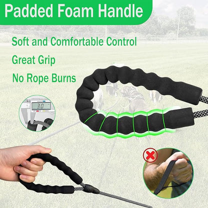 30FT Long Leash for Dogs,Heavy Duty Reflective Long Dog Leash with Swivel Hook and Comfortable Padded Handle for Large Medium Small Pets