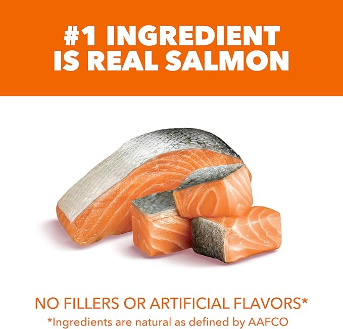 IAMS Proactive Health Healthy Adult Dry Cat Food with Real Salmon, 22 lb. Bag