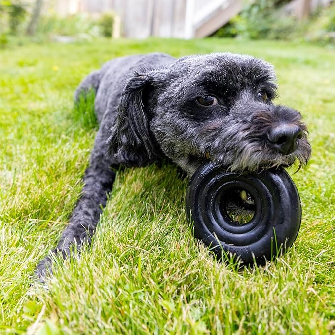 KONG Extreme Donut Dog Toy – Toughest Durable Natural Rubber Chew Toy for Power Chewers – Safe on Teeth & Gums, Fun Bounce & Roll for Indoor and Outdoor Play (Small/Medium)