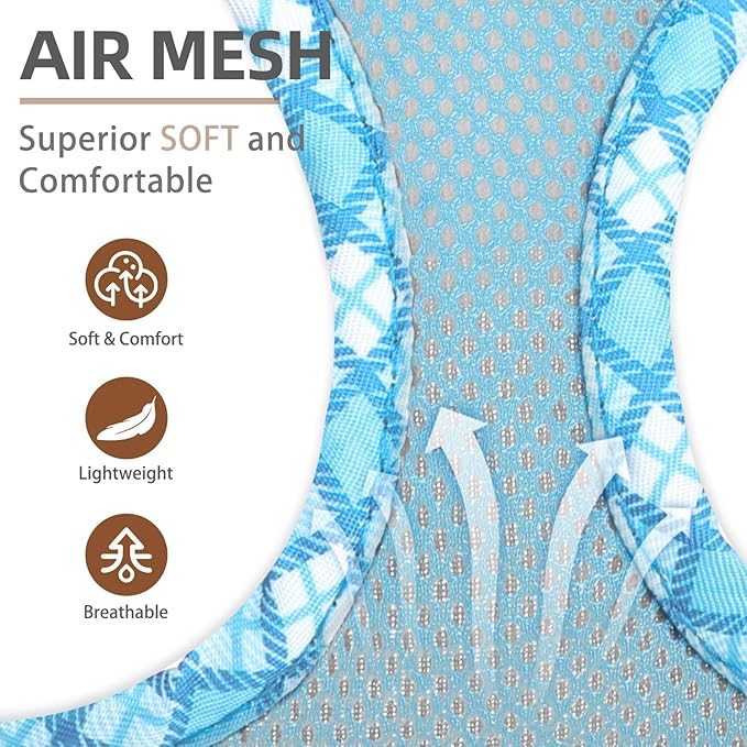 PUPTECK Dog Harness and Leash Set for Small Medium Dogs No Pull Step-in Soft Mesh Puppy Cat Vest Harnesses Reflective at Night, Sky Blue, L