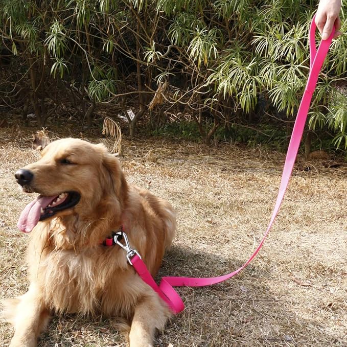 Waterproof Dog Training Leash 50FT 30FT 15FT 10FT 5FT Heavy Duty Recall Long Lead for Large Medium Small Dogs (5FT, Pink)