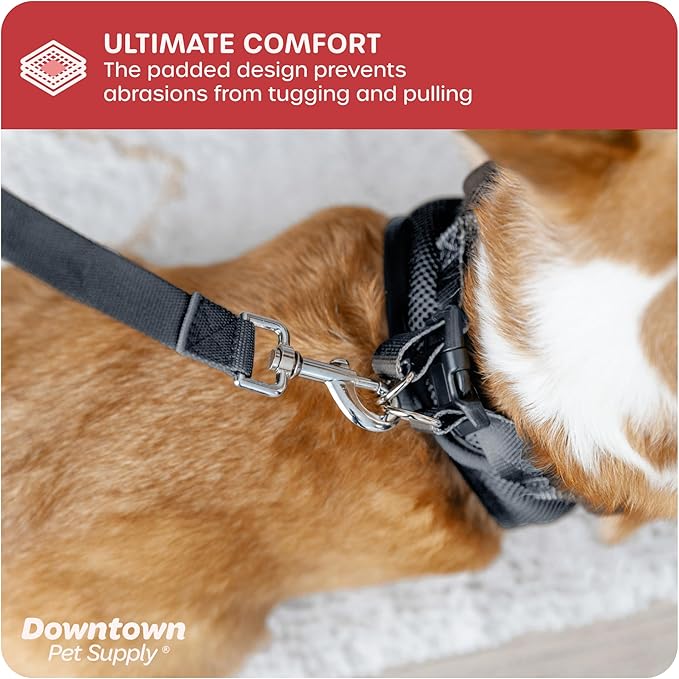 Downtown Pet Supply Step-in Dog Harness – No Pull, Adjustable Padded Mesh with Reflective Trim, Secure Buckle Strap – Comfortable & Breathable Small Dog Harness, Large, Charcoal
