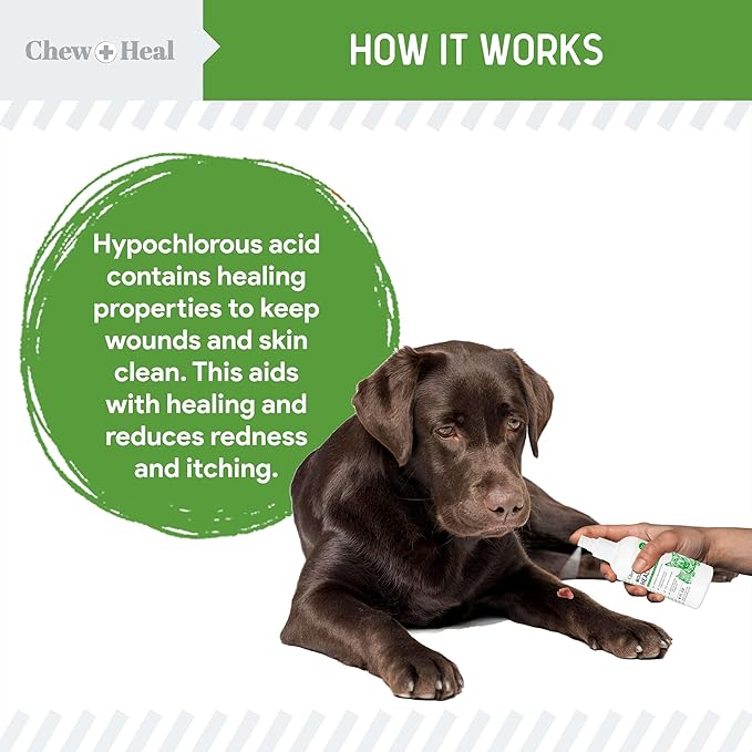 Chew + Heal Labs Hypochlorous Acid Spray for Dogs – 8oz Dog Wound Spray for Cuts, Burns, Sores, Abrasions, and More – Non Toxic and Chemical Free HOCI Wound Care – Made in The USA