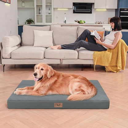 Tail Stories Plush Orthopedic Dog Bed for Medium Dogs & Puppies, Waterproof Dog Beds 29x18 Inch with Removable Washable Cover, Egg Crate Foam Flat Pet Mat, Gray