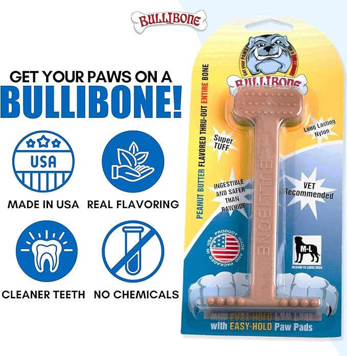Bullibone Nylon Dog Chew Toy for Aggressive Chewers - Dental Hygiene Bone with Peanut Butter Flavor, Durable Tough Chew Toys for Small Dogs, Indestructible Dog Bone - 3 Pack