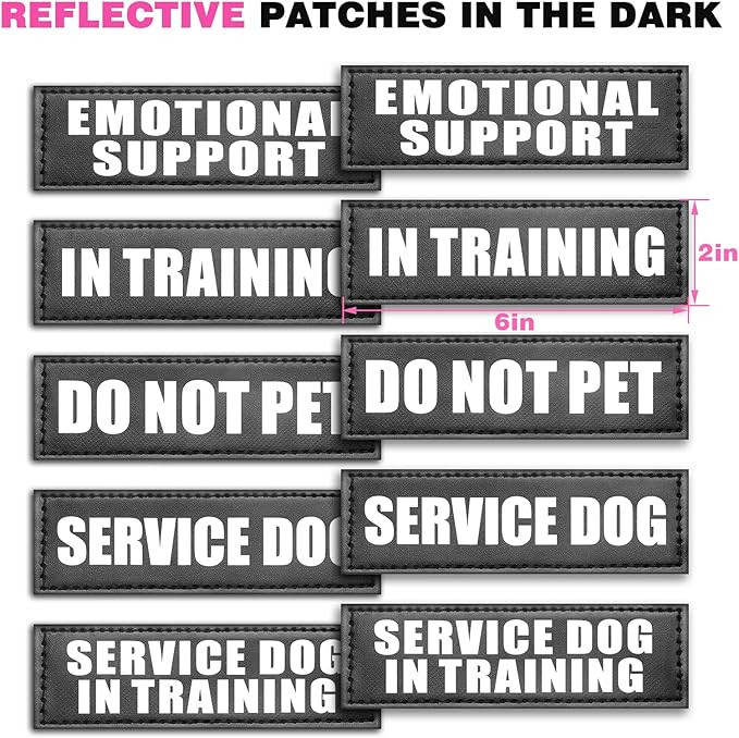 WINSEE Service Dog Vest Harness for Large Dog, Tactical Working MOLLE Vest with 10 Pet Patches, No Pull Heavy Duty Harness for Training Walking