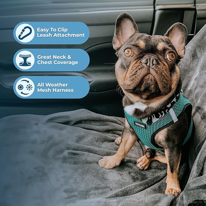 Best Pet Supplies Voyager Step-in Air Harness - All Weather Mesh, Reflective, No Pull Harness for Dogs, Cats - Secure with Hook & Loop Fastener, Buckle, Double D-Rings - Turqupise 2-Tone, XL