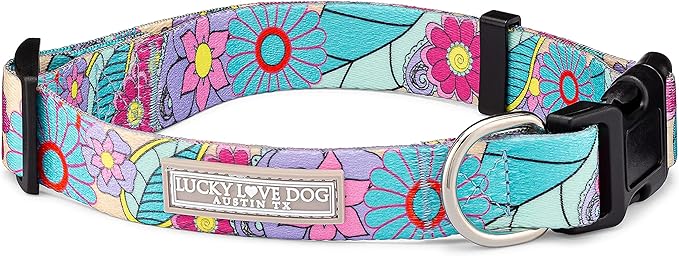 Lucky Love Dog Collars, Cute Small Dog Collars for Female Dogs, Part of Purchase Donated to Rescue, Caroline, Small