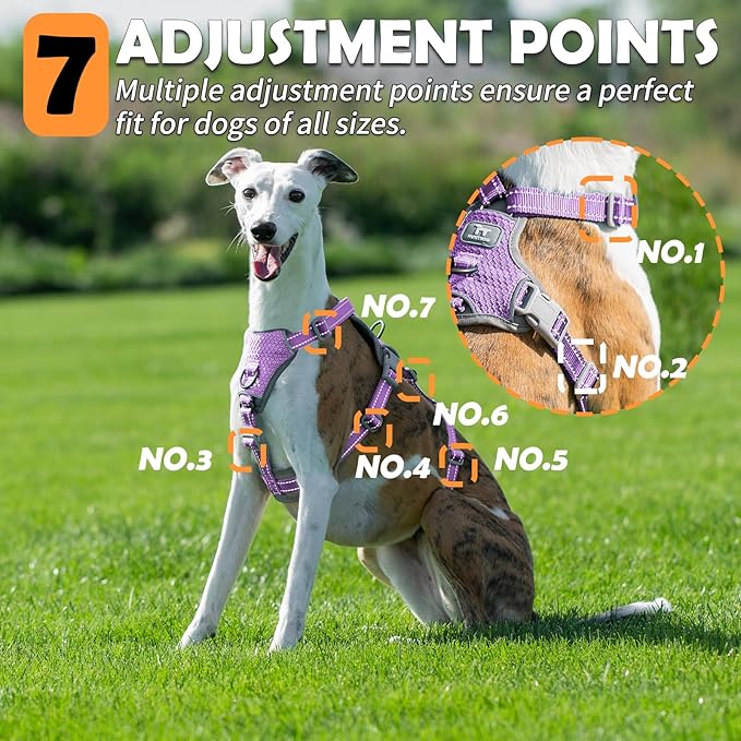 Huntboo Escape Proof Dog Harness – No Pull, No Slip, Fully Reflective, Adjustable 7-Point Design for Small, Medium, and Large Dogs – Lightweight for Outdoor Training & Hiking (Lavender Purple, M)