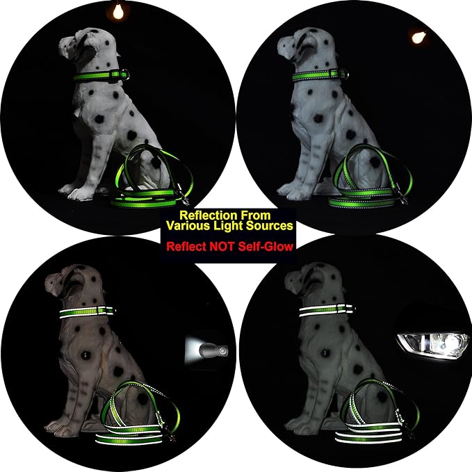 Mile High Life Dog Collar | Nylon Reflective Dog Collars | Light Weight Puppy Collars | Blue Dog Collars for Large Dogs (Blue, Large)