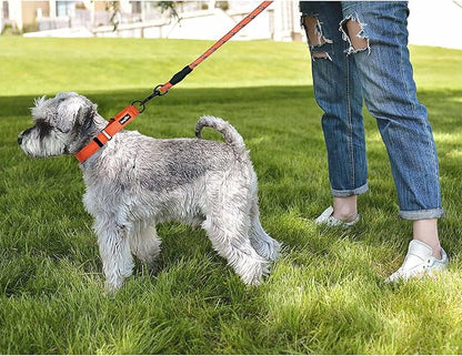 haapaw 2 Packs Martingale Dog Collar with Quick Release Buckle Reflective Dog Training Collars for Small Medium Large Dogs