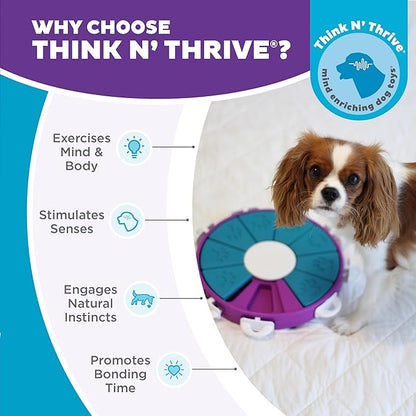 Outward Hound by Nina Ottosson Dog Twister – Interactive Treat Puzzle Enrichment Toy, Level 3 Advanced
