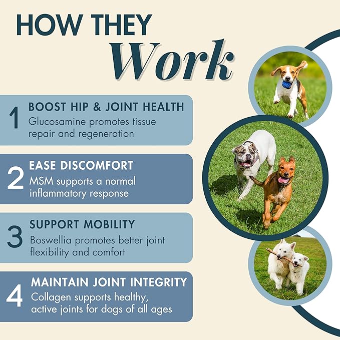 Wholistic Pet Hip & Joint Supplement for Dogs - MSM, Glucosamine, Chondroitin for Dogs - Dog Joint Supplement for Support & Relief from Discomfort - Bacon - 90 Mobility Chews