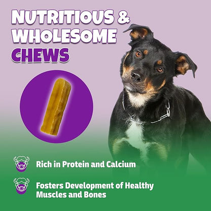 Healthy Yak Cheese Himalayan Chew, All-Natural & High in Protein, Odorless & Long Lasting Yak Chews for Large Dogs & Medium Dogs, Dog Chews for Aggressive Chewers (Large, 4-Pack)